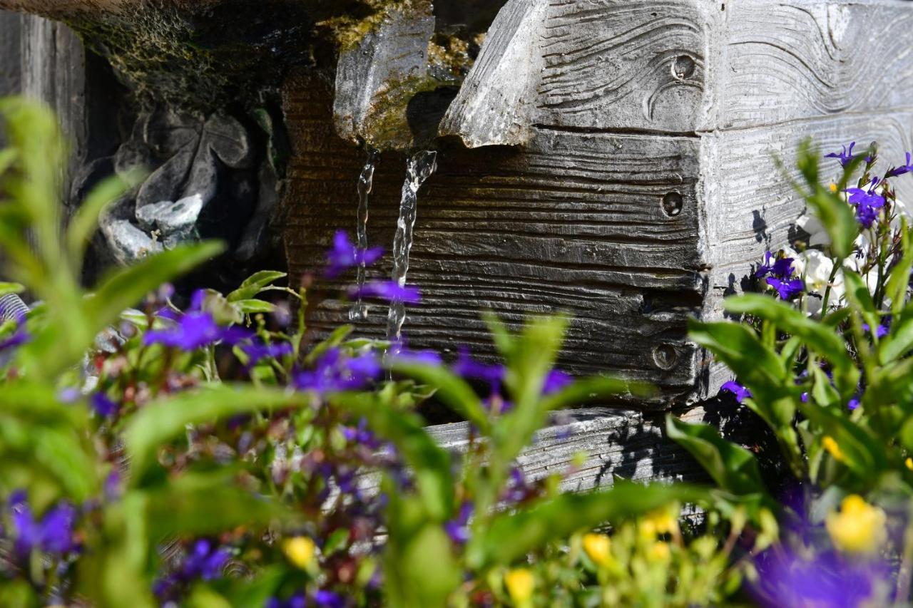 Landhotel Jungbrunnen Bad Brambach Dış mekan fotoğraf